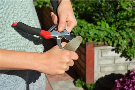 how to sharpen sheet metal shears|sharpening tool for garden shears.